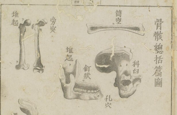 Old Medical Book Collection Eastern Medicine Old Book Collection Chiba University Academic Resource Collections C Arc